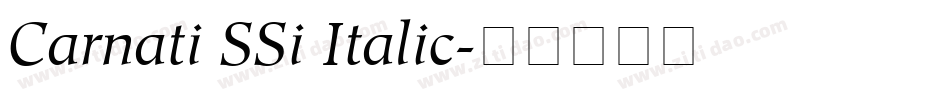 Carnati SSi Italic字体转换